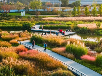 秋光為伴，我們與張村河共繪新景